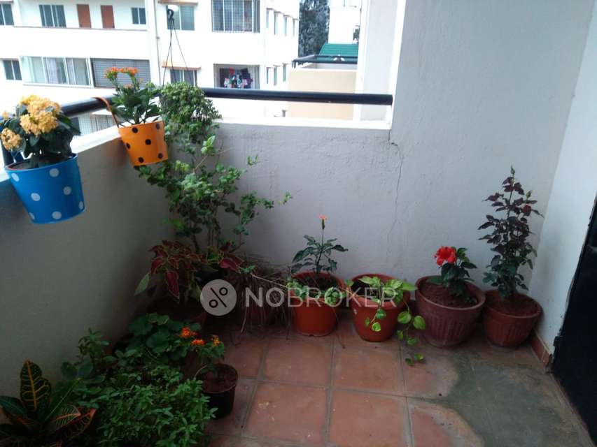 2 BHK Flat In Stonecreek Apartments, Yelanahhali, Off Iim Bangalore For Sale  In Stone Creek Apartments