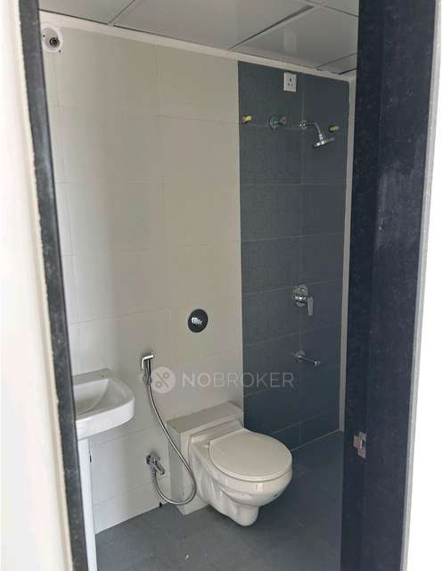 2 BHK Flat In Krisala 41 Estera,  Punawale For Sale  In  Punawale