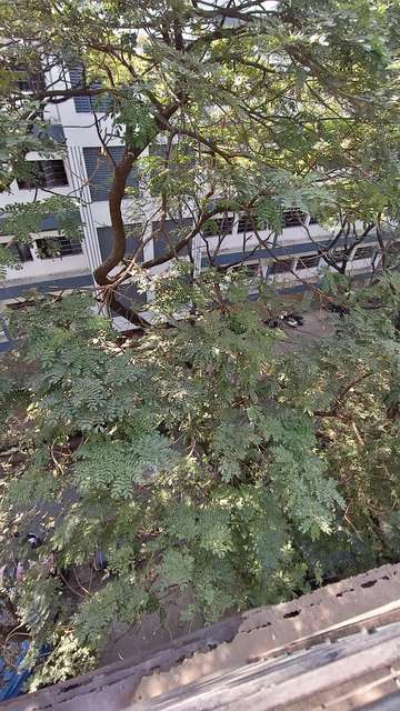 1 BHK Flat For Sale  In Gloria Villa Chs