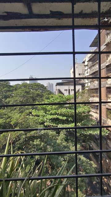 1 BHK Flat For Sale  In Gloria Villa Chs