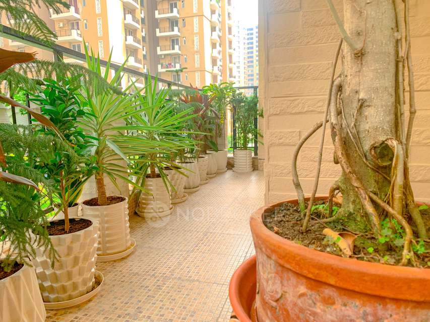 3 BHK Flat In Strategic Royal Court For Sale  In Strategic Royal Court
