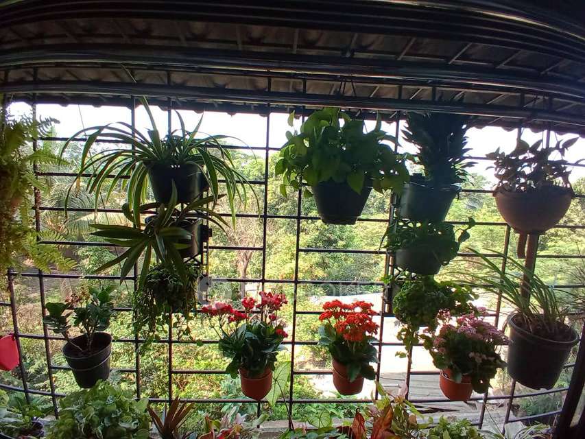 1 BHK Flat In Ambika Nagar Chs For Sale  In Panvel