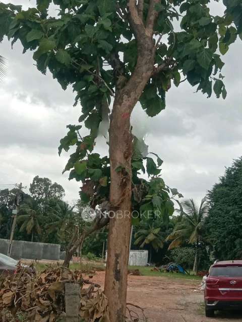 Godown/Warehouse in Chikkabanvara , Bangalore for Rent 