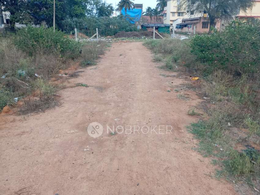 Plot For Sale  In Mallasandra, 