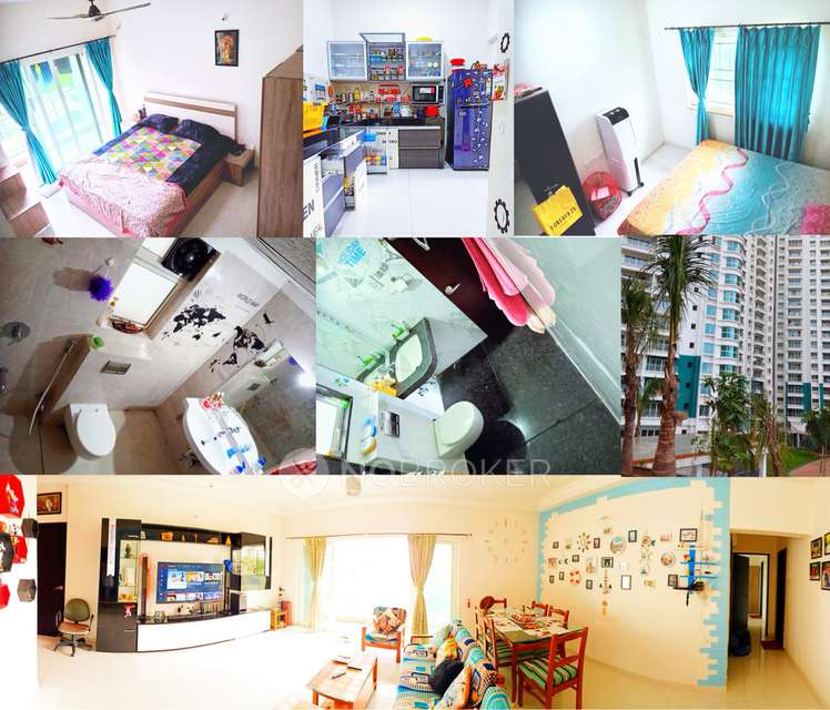 2 BHK Flat In Mystic for Rent  In Megapolis Mystic