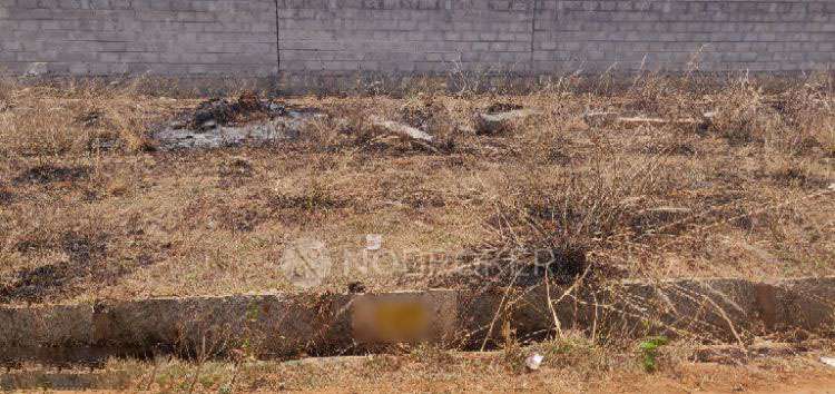 Plot For Sale  In Dasanapura