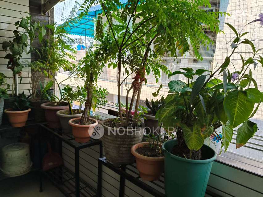 3 BHK House For Sale  In Nsut