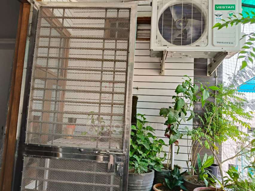 3 BHK House For Sale  In Nsut