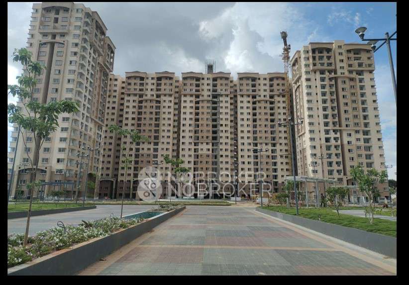 1 BHK Flat In Ahad Serenity for Rent  In Ahad Serenity
