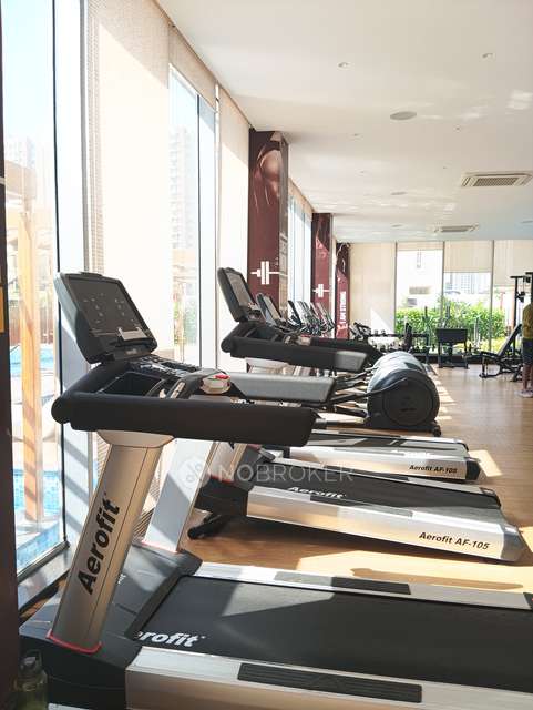 1 BHK Flat In Vtp Leonara For Sale  In Mahalunge