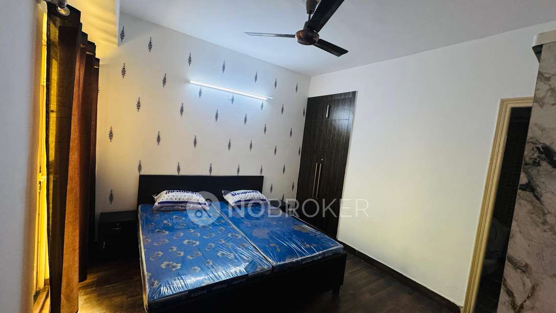 PG for Girls in Sector 137