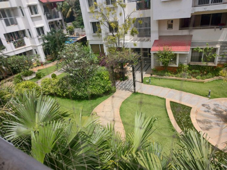 Prestige Silver Dale