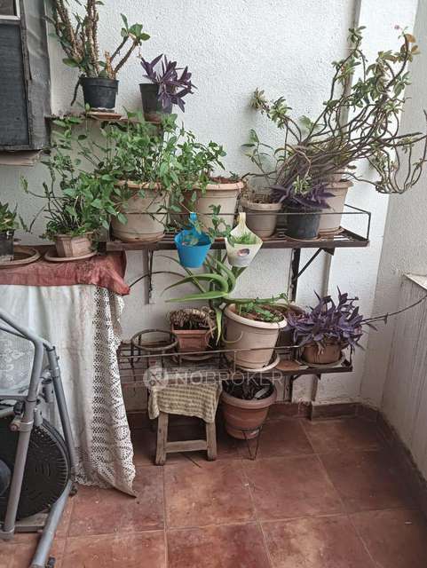 3 BHK Flat In Sundar Akash, Sundar Akash for Rent  In Hadapsar