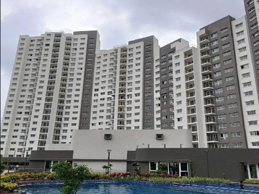3 BHK Flat In Godrej 24 For Sale  In Ashok Nagar