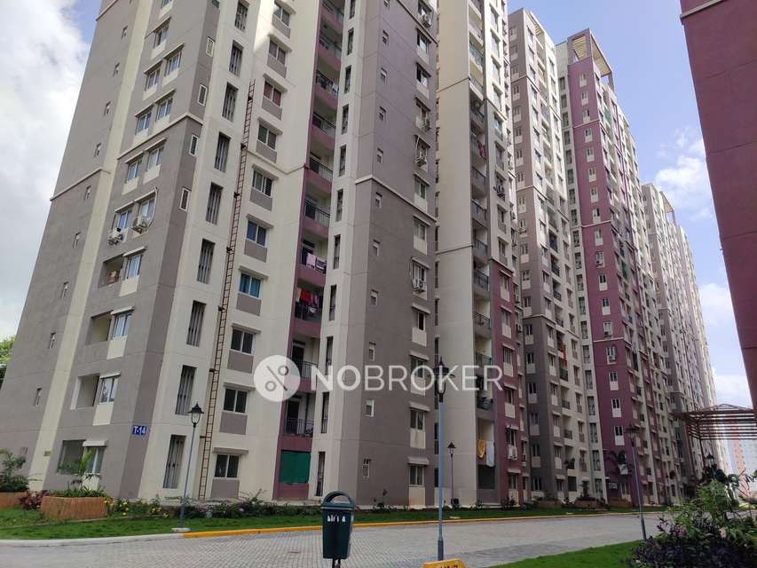 2 BHK Flat In Prajay Megapolis For Sale  In Kukatpally