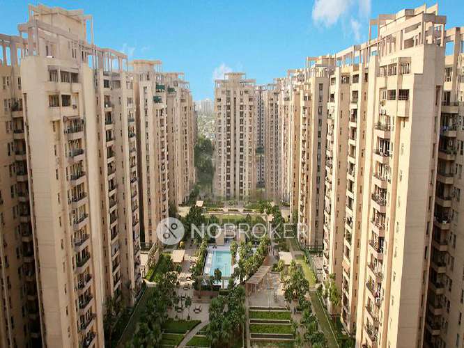 4 BHK Flat In Orchid Petal for Rent  In Sector 49