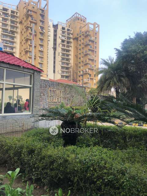 3 BHK Flat In Unitech Escape for Rent  In Sector-50