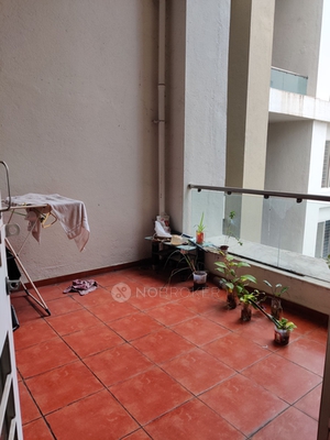 3 BHK Flat In Rohan Tarang Co-operative Housing Society for Rent  In  Wakad