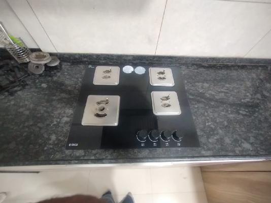 1 BHK Flat In Gera Adara for Rent In Hinjewadi