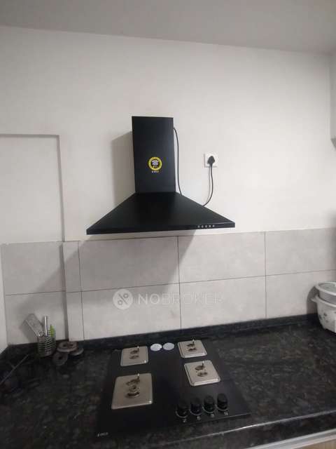 1 BHK Flat In Gera Adara for Rent In Hinjewadi