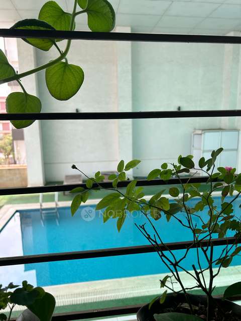 2 BHK Flat In Prem Mairah Residences for Rent  In Hinjawadi