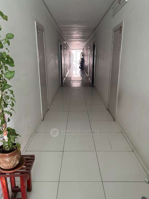 2 BHK Flat In Prem Mairah Residences for Rent  In Hinjawadi