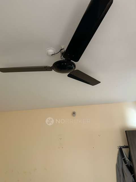 2 BHK Flat In Prem Mairah Residences for Rent  In Hinjawadi