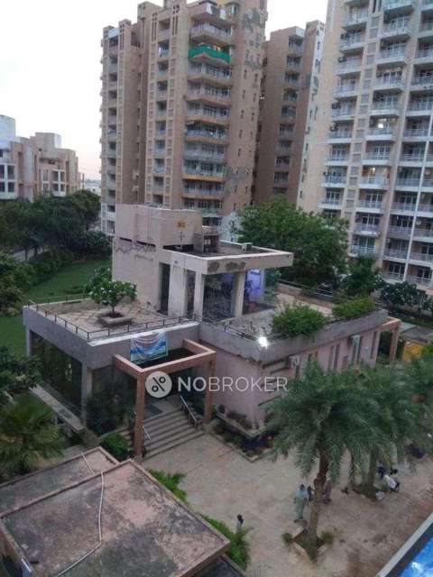 3 BHK Flat In Raheja Shilas  For Sale  In Sector 109