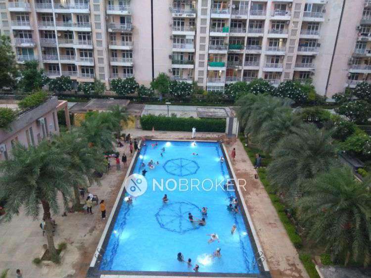 3 BHK Flat In Raheja Shilas  For Sale  In Sector 109