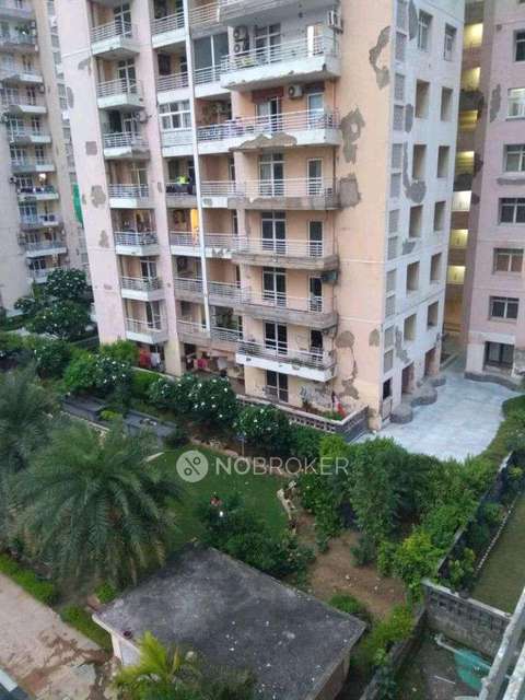 3 BHK Flat In Raheja Shilas  For Sale  In Sector 109