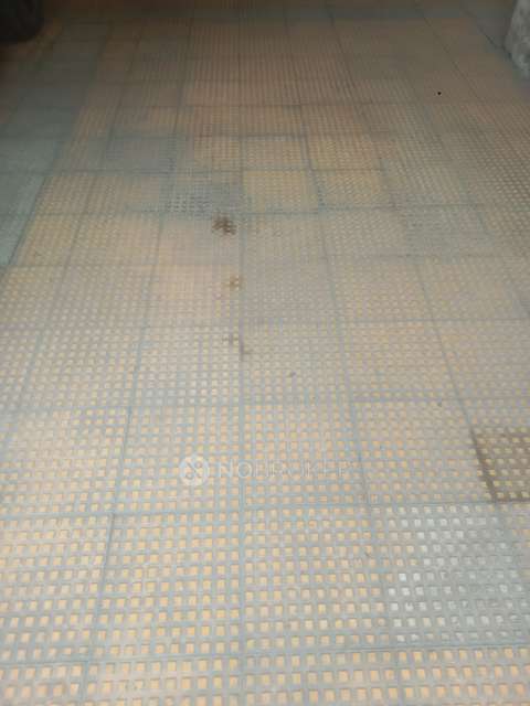 3 BHK Flat In Ganga Cypress Society for Rent  In  Tathawade