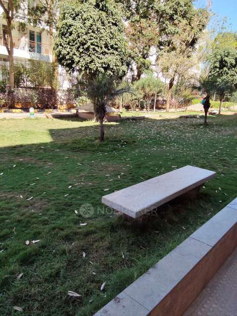 3 BHK Flat In Dsr Green Fields For Sale  In  Whitefield, Bangalore