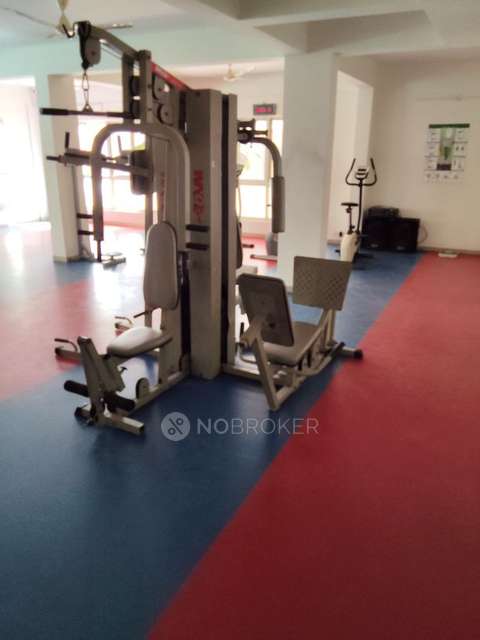 3 BHK Flat In Dsr Green Fields For Sale  In  Whitefield, Bangalore