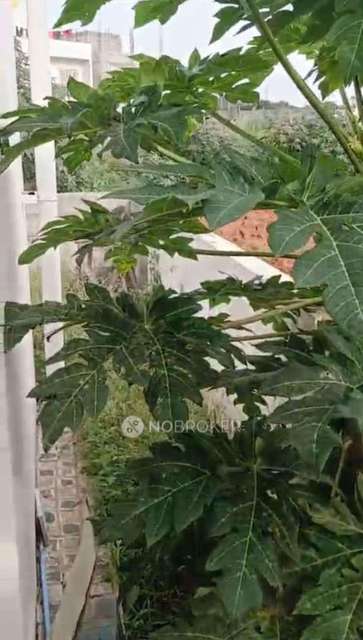 3 BHK House For Sale  In Adigara Kallahalli