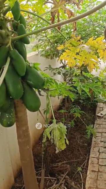 3 BHK House For Sale  In Adigara Kallahalli