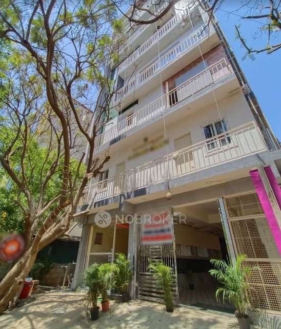 PG for Anyone in Whitefield