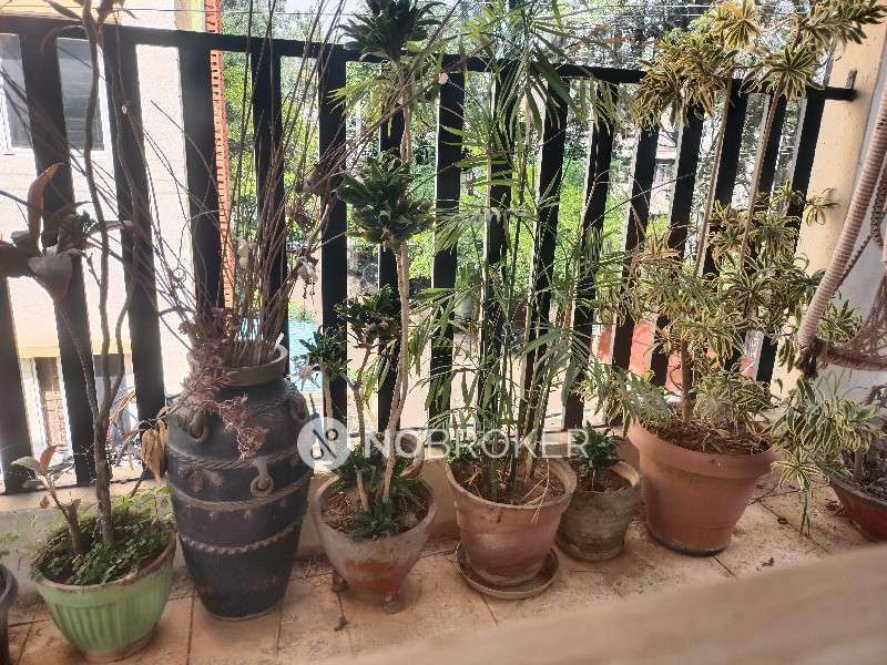 4+ BHK Villa In Lake Shore Homes For Sale  In Kasavanahalli