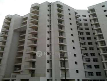 3 BHK Flat In Piush High for Rent  In Shede Mall