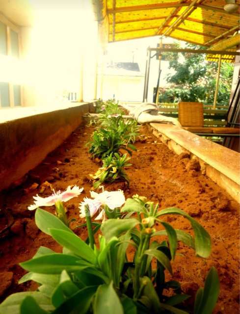 4 BHK Villa In Sri Balaji West County For Sale  In Nizampet