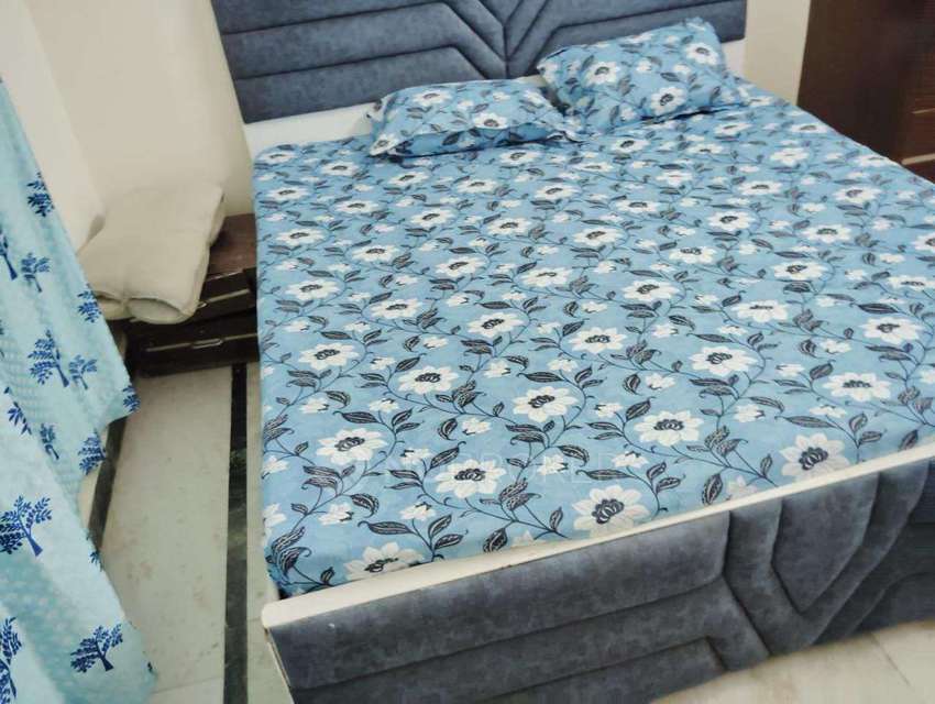 PG for Boys in Sector 11