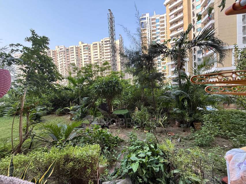 3 BHK Flat In Paramount Floraville For Sale  In Sector 137