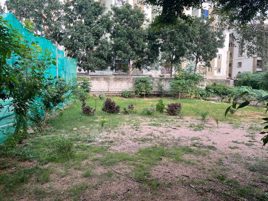 Plot For Sale  In Vidya Nagar Colony