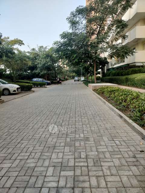 3 BHK Flat In Park View Sanskruti For Sale  In Sector 92, New Gurgaon