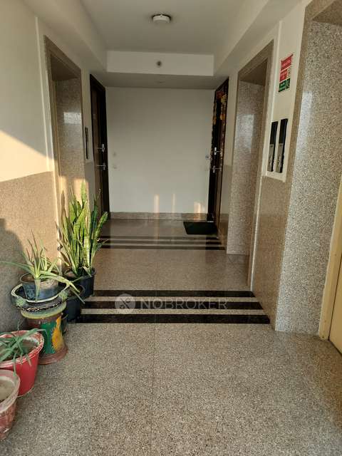 3 BHK Flat In Park View Sanskruti For Sale  In Sector 92, New Gurgaon