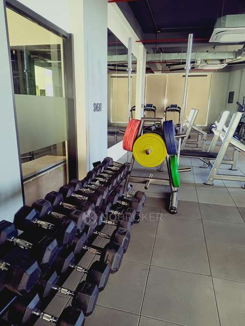 3 BHK Flat In Vanaha For Sale  In Bavdhan