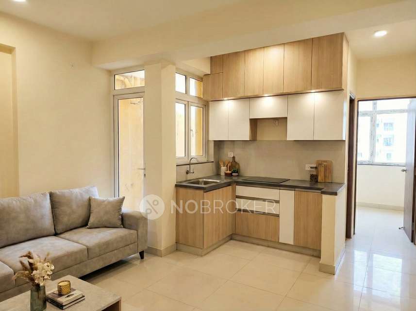 1 BHK Flat In Kingdome Home for Rent  In  Raj Nagar Extension