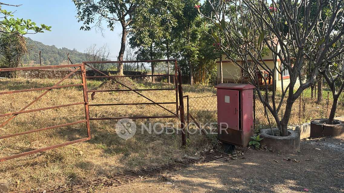 Plot For Sale  In Darawali