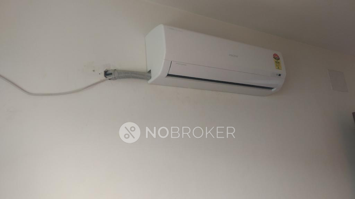 2 BHK Flat In Blue Ridge - Paranjpe Schemes for Rent  In Hinjawadi