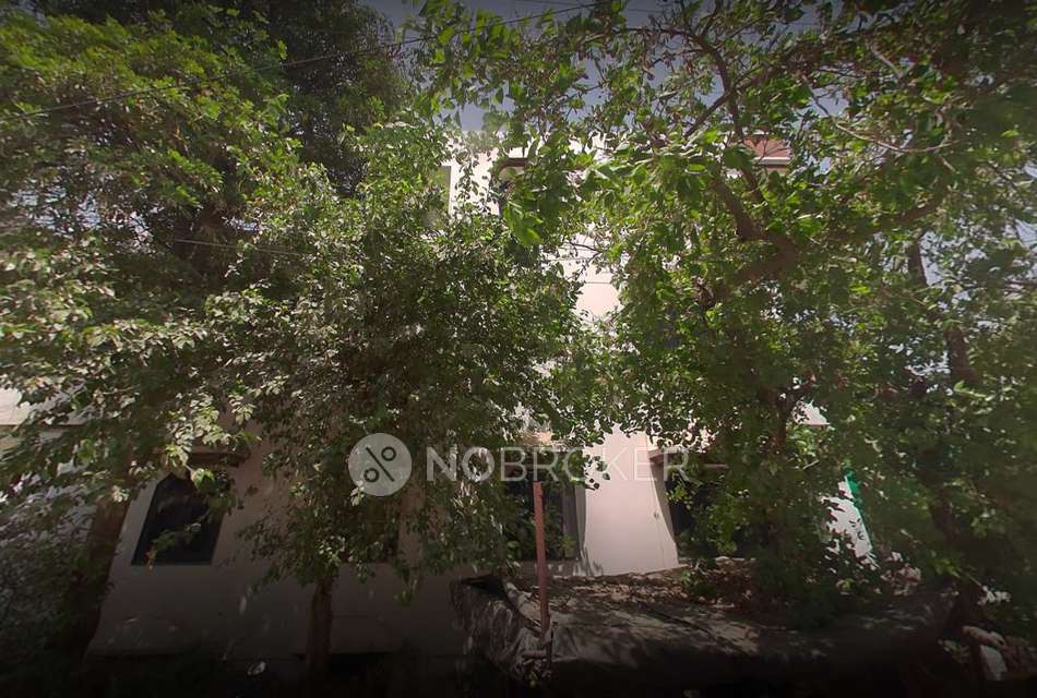 3 BHK Flat In Sharma Niwas for Rent  In Sector 7