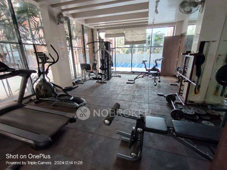 1 BHK Flat In Kohinoor Tinsel County for Rent In Hinjawadi